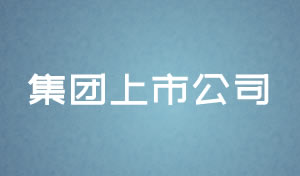 集團(tuán)上市公司網(wǎng)站設(shè)計(jì)及網(wǎng)站規(guī)劃方案